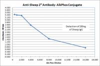 Donkey anti-Sheep IgG (H&L) - Affinity Pure, ALP Conjugate