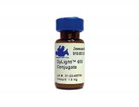 Mouse anti-6x Histidine IgG, clone AD1.1.10, primary antibody, conjugated to DyLight® 650