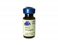 Chicken anti-Rabbit IgG (H&L) - Affinity Pure, TRITC Conjugate