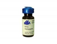 Goat anti-Human IgG (H&L) - Affinity Pure, FITC Conjugate