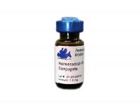 Mouse Anti-DYKDDDDK IgG conjugated to HRP