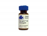 Chicken anti-Rabbit IgG (H&L) - Affinity Pure, DyLight®594 Conjugate