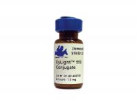 Goat anti-Rabbit IgG (H&L) - Affinity Pure, DyLight®550 Conjugate, min x w/human serum proteins