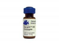 Goat anti-Mouse IgG (H&L) - F(ab)'2 Fragment, DyLight®800 Conjugate,  min x w/human IgG or serum proteins