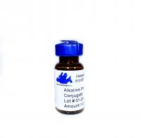 Chicken anti-Goat IgG (H&L) - Affinity Pure, ALP Conjugate, min x w/human mouse or rabbit IgG/serum proteins