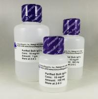 Mouse IgG Purified - Protein A 