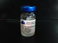 Rabbit IgG Affinity Resin (For the removal of cross-reactivity to rabbit immunoglobulins)