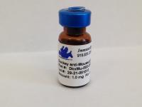 Donkey anti-Mouse IgG (H&L) - Affinity Pure, HRP Conjugate