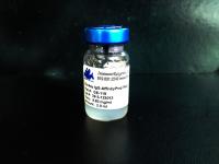 Donkey IgG Affinity Resin (For the removal of cross-reactivity to donkey immunoglobulins)