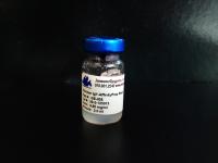 Chicken IgY Affinity Resin (For the removal of cross-reactivity to chicken immunoglobulins)