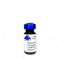 Rabbit anti-Goat IgG Fc - Affinity Pure, HRP Conjugate, min x w/human serum proteins 