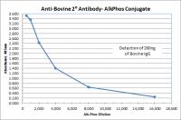 Rabbit anti-Bovine IgG (H&L)  - Affinity Pure, ALP Conjugate