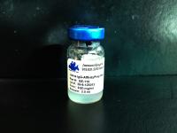 Llama IgG Affinity Resin (For the removal of cross-reactivity to llama immunoglobulins)