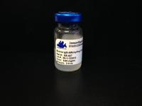 Bovine IgG Affinity Resin (For the removal of cross-reactivity to bovine immunoglobulins)