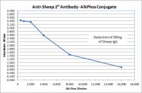 Donkey anti-Sheep IgG (H&L) - Affinity Pure, ALP Conjugate