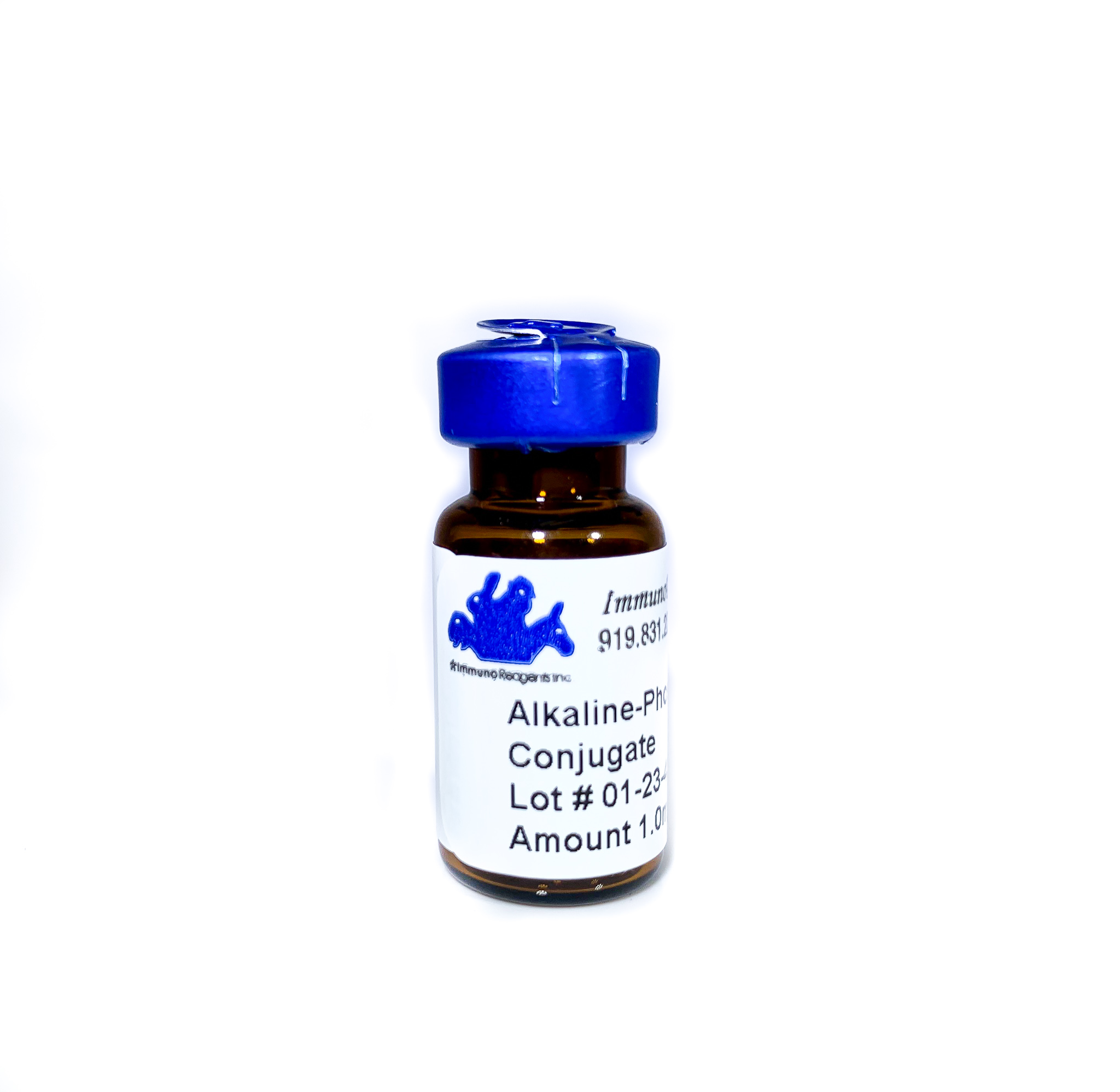 elisa vs western blot